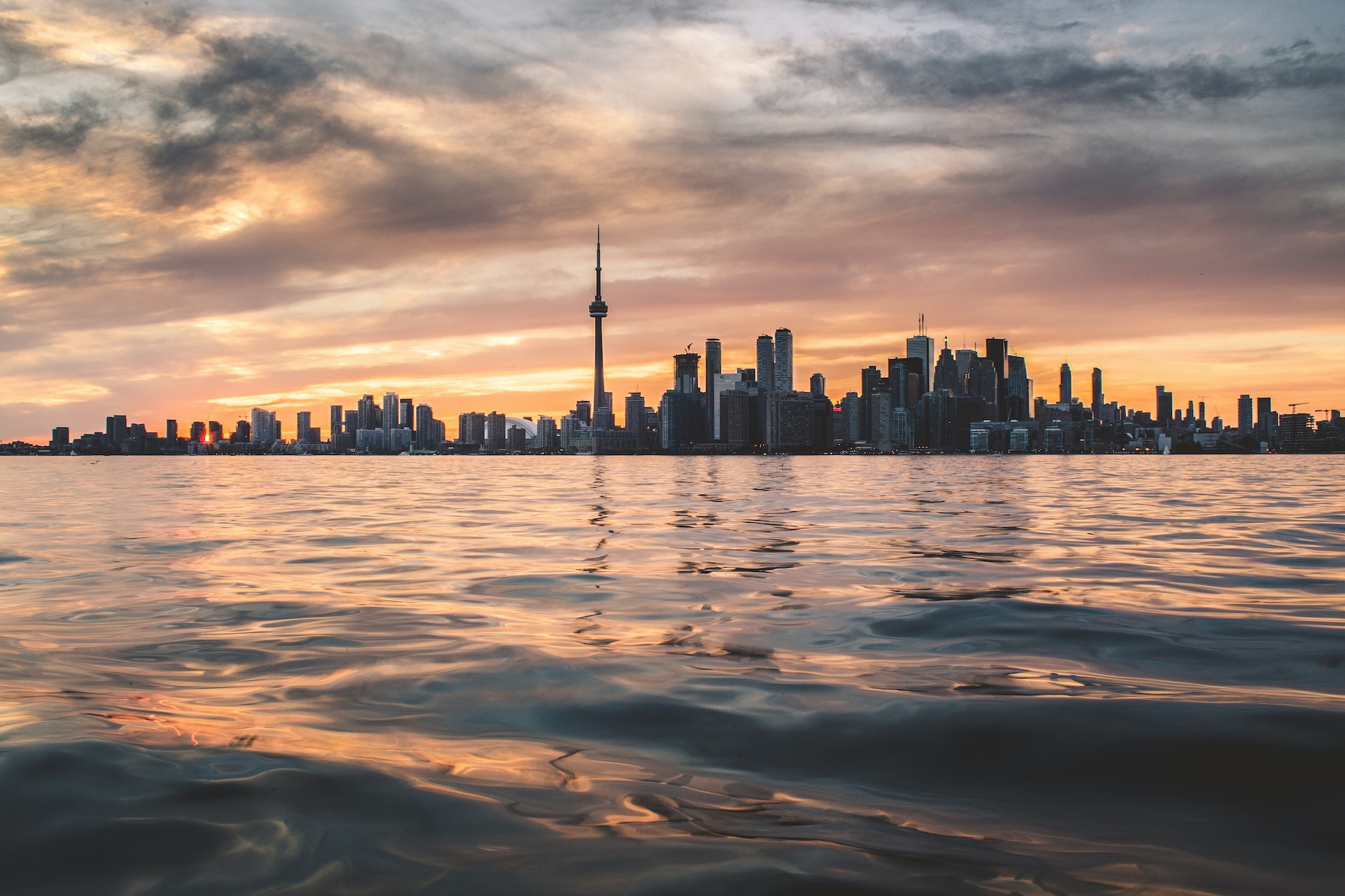 6 Book Marketers in Toronto Who Can Help Your Book Soar