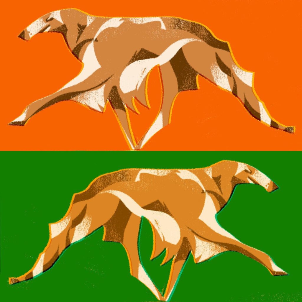 Illustration of two dogs facing in opposite directions, set against orange and green backgrounds. Made by Larsson McSwain.